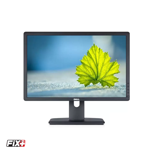 Dell Professional P2213